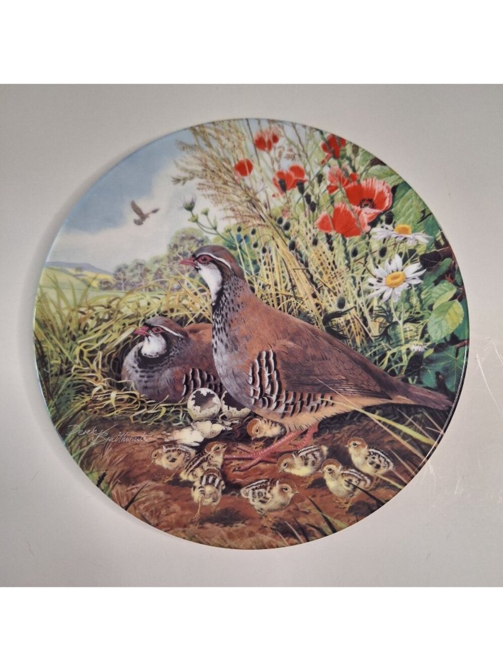 VTG 1987 ROYAL GRAFTON CHINA "RED LEGGED PARTRIDGE" BIRD PLATE DEREK BRAITHWAITE